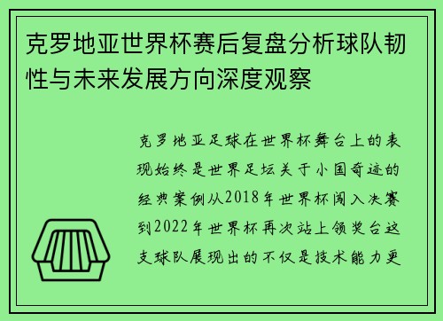 克罗地亚世界杯赛后复盘分析球队韧性与未来发展方向深度观察